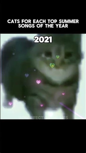 Catmemes 🐱 Top summer songs of the year #catmemes