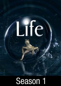 Life [UK]: Reptiles and Amphibians