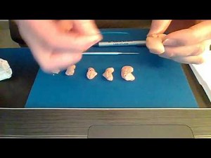 How To Clean Custom Molded Hearing Aids