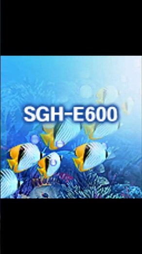 (RARE!) Samsung SGH-E600 Startup and Shutdown (2 Variants, Newer Firmware)