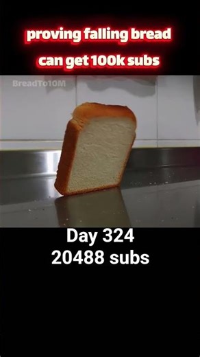 Day 324 - proving falling bread can get 100k subs #shorts #viral #memes #bread #breadto10m #324