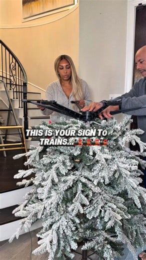 Tamara Bradshaw on Instagram: "Comment TRAIN or TREES and I will send link to your dm for these train sets and my trees. You can also click link in my bio✨ Train set comes with full kit to install in tree, the light up and play Christmas music! And my viral trees are stunning✨ Can’t wait to fully decorate these trees! As you can see I’m going more traditional this year 😉 Holiday Decor Christmas Trees Traditional Christmas Decorations"