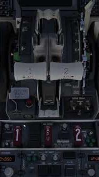 Microsoft Flight Simulator(2020) PMDG 737 SYS TEST