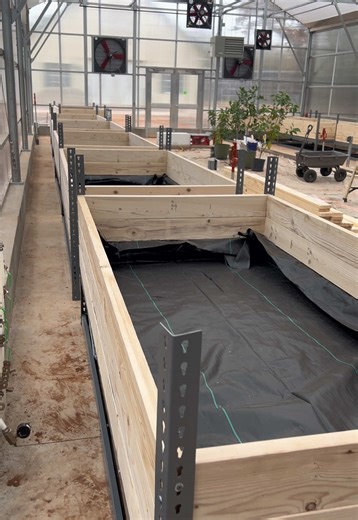 Creating Raised Beds in Greenhouse: A Step-by-Step Guide