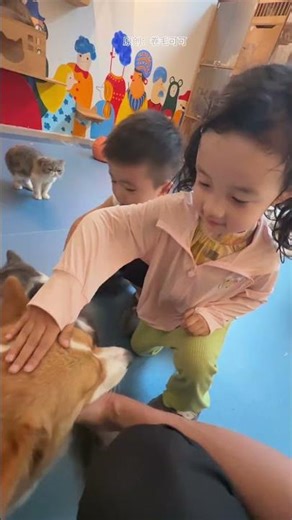 Koko made a good friend, the dog. #pets #corgi #cute