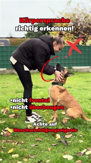 Erkennt ihr einen Unterschied?😇lass uns mal in den Kommentaren gerne alle Beschwichtigungs Signale