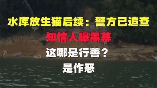 水库放生猫后续警方已追查，知情人曝黑幕，这哪是行善？是作恶