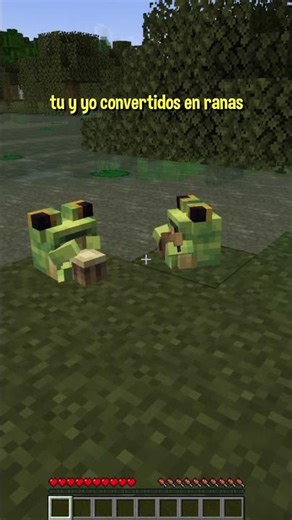 una bruja nos convirtió en ranas y paso esto #minecraft #shorts