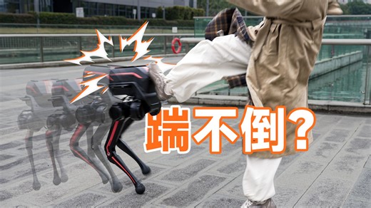 真的踹不倒？！实测最抗踹的机器人「逐际动力TRON 1」