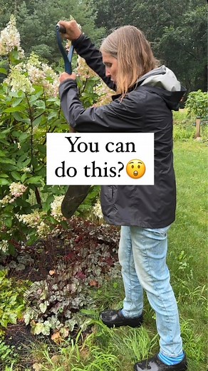 Sometimes this is all it takes.😁🌿 Not all plants can be split this way but if the soil is soft and the roots aren’t too thick, give it a try. These are coral bells and lots of other plants can be split this way. Anyone want to share their favorites to split this way?When? Any time the ground isn’t frozen. If it’s very hot, water a lot. (Hello my friends in very hot climates—I understand there may be limits to this😆)Video done by my client Lisa in her yard.About me: I’m a garden coach and cons