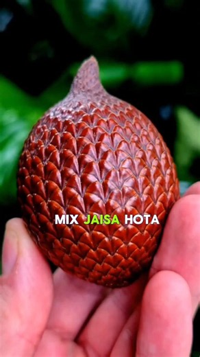 Top 5 Fruits That Look Like Aliens 👽🍎