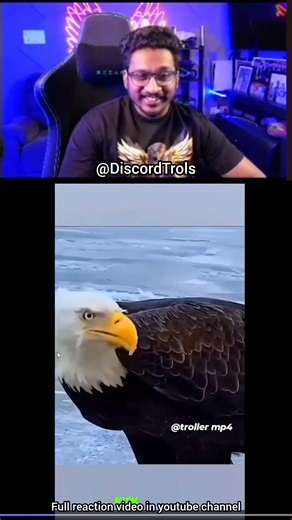 eagle sound നിങ്ങൾ കേട്ടിട്ടുണ്ടോ😹🤣