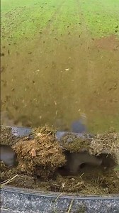 Artex Dry Spreaders in Action