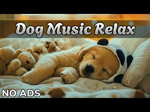 12 Hour Dog Music 🐾 Dog Music for Anxiety 🐕 Calm, Stress Relief, No Ads