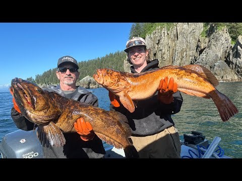 Lingcod Madness in Seward Alaska!