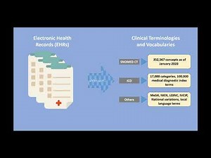 What is Semantic Interoperability?