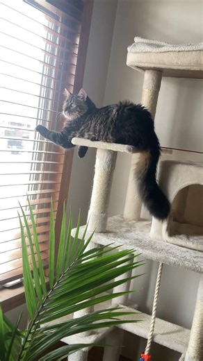 Watching the neighbors