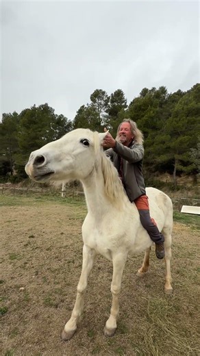 Esta es mi Alborada 🐴