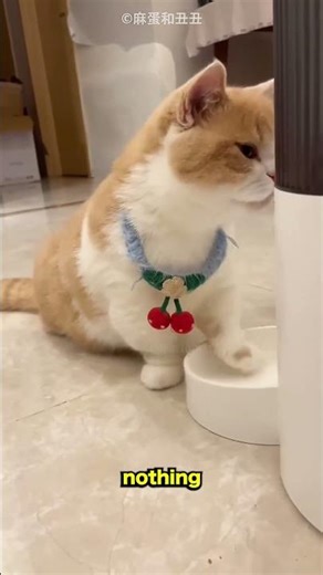 man wave near this machine then give some food