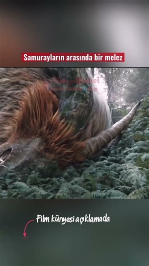 Samurayların arasında bir melez