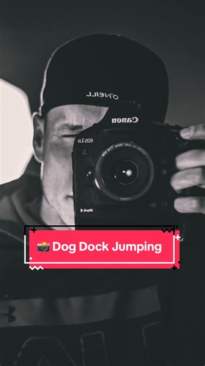 Throwback to when I took pictures at an Dog Extreme Vert Dock Jumping Competition. Pretty crazy how far and high these dogs got. Check it it… or don’t 🤙🏻 #photographer #sportsphotography #photography #dogsofttiktok #dockdiving