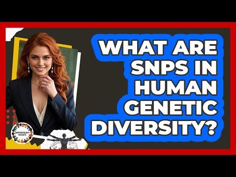 What Are SNPs In Human Genetic Diversity? - Anthropology Insights