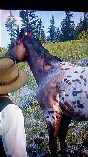 rdr2 how to find the Appaloosa leopard in red dead redemption 2