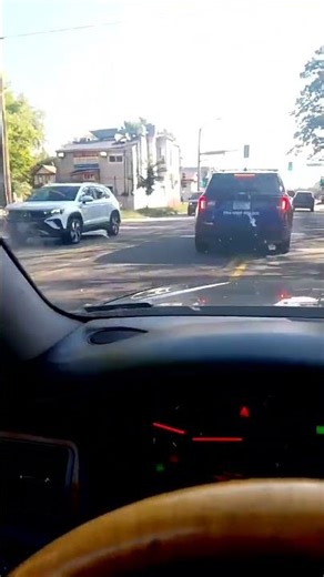 raised blue letter license plate in the wild