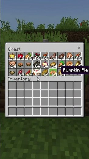 Tips To Survive The Nether #minecraft #game #tutorial