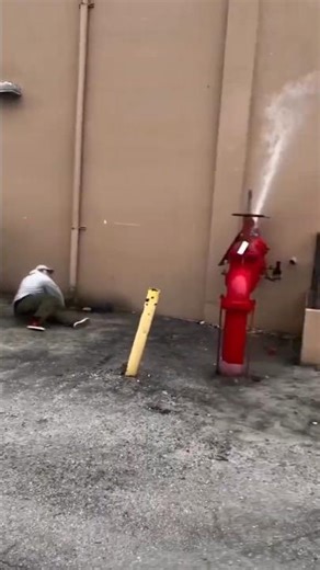 tony hawk pro skater? i dont remember this level 😭