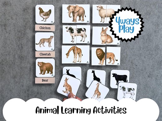Animal Matching Activity Printable, 4-in-1 Preschool Learning Game, Shadow Matching, Name Match, Sorting, Cut and Paste - Etsy