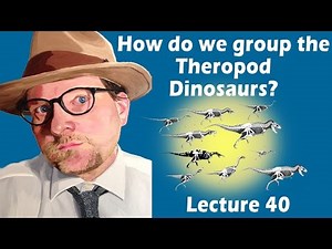 How do we group the Theropod Dinosaurs?