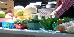 Diesel prices still affecting local agriculture