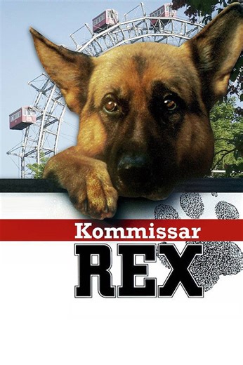 Rex, chien flic S08E07 Oeil pour oeil : regarder en streaming