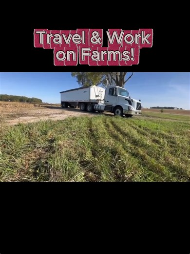 Starting the Day on the Farm: A Morning Routine