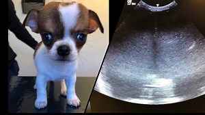 218K views · 847 reactions | Mondo update!! The view of the scan is...