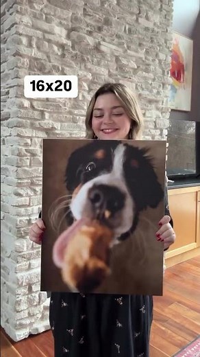 Mpix | Print Size Comparison