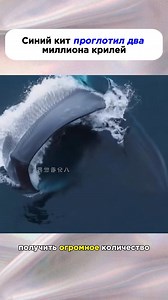 113K views · 954 reactions |  | Iveta Rasa | Facebook