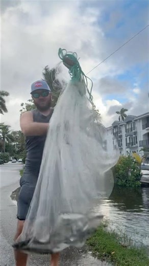 🎣 Catching Live Mullet for Snook Bait Florida Mullet Run 🌊 #castnetfishing #baitfishing #shortsfeed