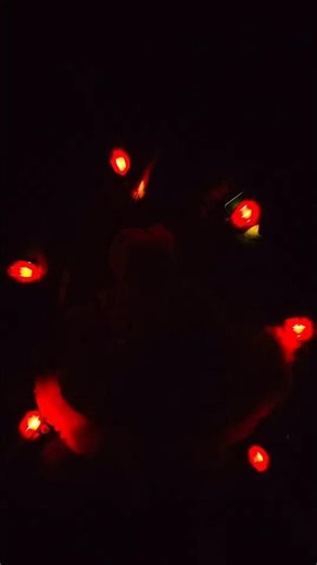 The Art Of Custom Mobile & Vedio editing unique Consept #baby #newborn #instagram