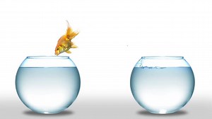 21 reactions · 3 comments | Use Creative Videos You Could Never Make on Your Own! Try This Ad and More For Your Real Estate Business ️ | Promo.com | Facebook