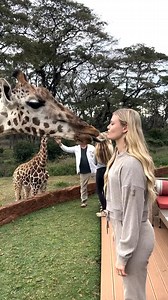 Coolest hotel in the world!! 🦒 #trend #viral #giraffemanor #africa #kenya #giraffe #220 | Daliin Bella