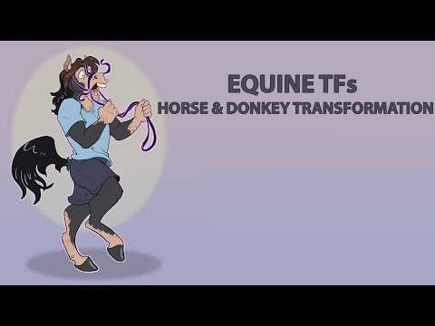 (REUPLOAD) Equine TFs / Horse & Donkey Transformation