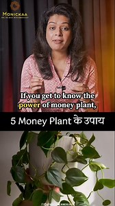 52K views · 28K reactions | 5 money reset tips of Money Plant which can literally make you a millionaire. . . . [Astrology, Numerology, Vastu, Career, Love, Success, Manifestation, Money, Zodiac Signs, Universe, Affirmation] #astrology #Numerology #viral #trending #spirituality | Monickaa Gupta Numerologistt | Facebook