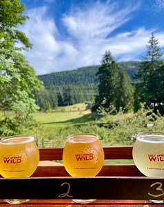 Cider curious? Try some ciders in Portland and earn money in the process