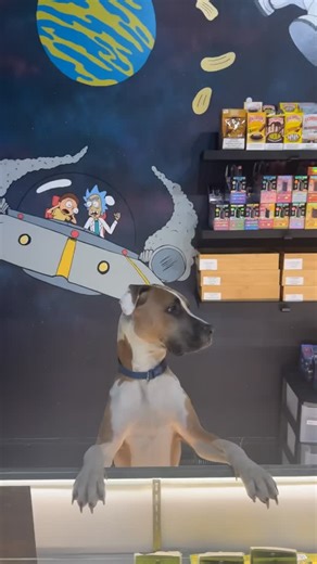 The Lab Backup Account on Instagram: "Boro Lab will remain open during normal operating hours. Lij and Remy are waiting for you! Please be careful if you decide to make it out!! ❄️"