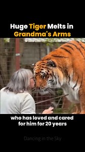 208K views · 10K reactions | Incredible 20-Year Friendship with a Tiger  | Dancing in the Sky | Facebook