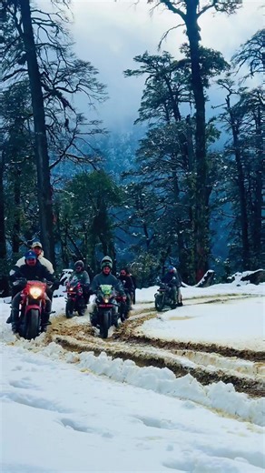 Exploring Nature: The Ultimate Traveler's Guide