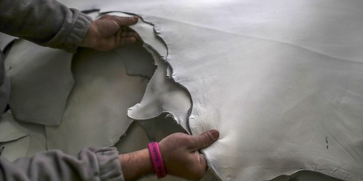 A Crackdown on the Slaughter of Sacred Cows Is Hurting India’s Leather Industry