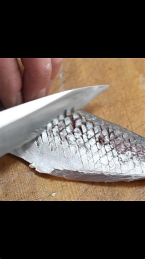 The Hidden Knife Cut That Changes Sashimi Texture